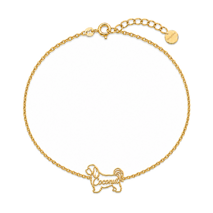 Havanese_Coconut_Gold.png