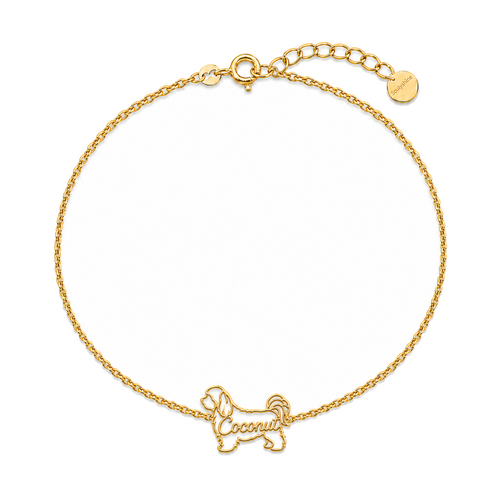 Havanese_Coconut_Gold.png