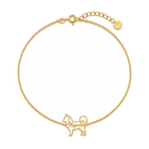Icelandic-Sheepdog_Magnolia_Gold.png