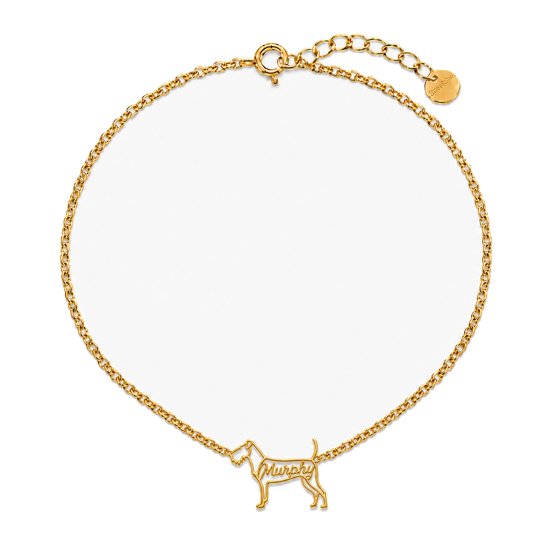 Irish-Terrier_Murphy_Gold.png