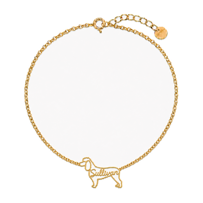 Irish-Water-Spaniel_Sullivan_Gold.png