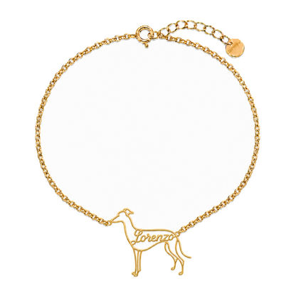 Italian-Greyhound_Lorenzo_Gold.png