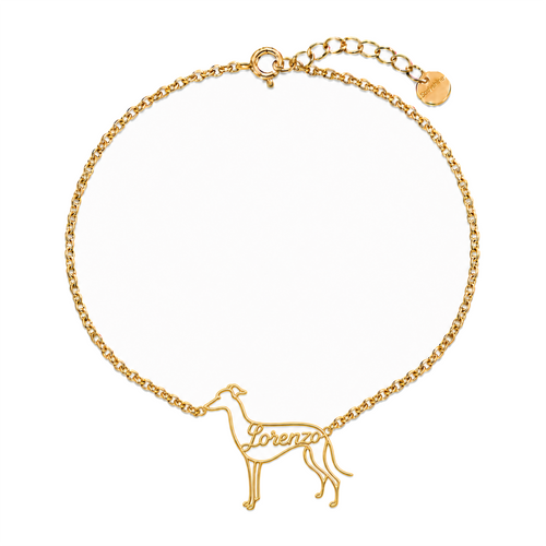 Italian-Greyhound_Lorenzo_Gold.png