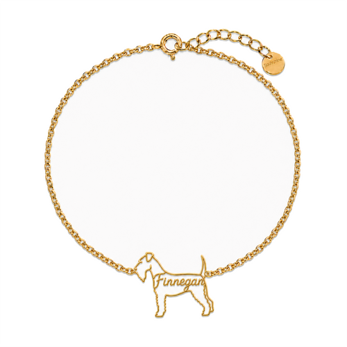 Kerry-Blue-Terrier_Finnegan_Gold.png