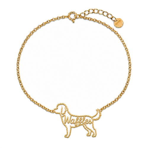 Labradoodle_Waffles_Gold.png