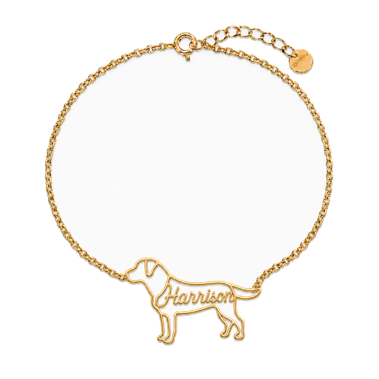 Labrador-Retriever_Harrison_Gold.png