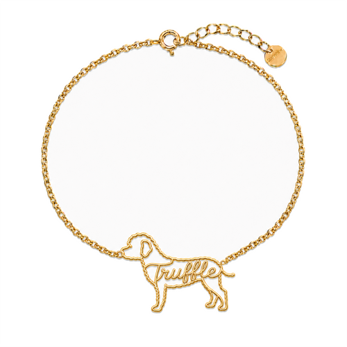Lagotto-Romagnolo_Truffle_Gold.png