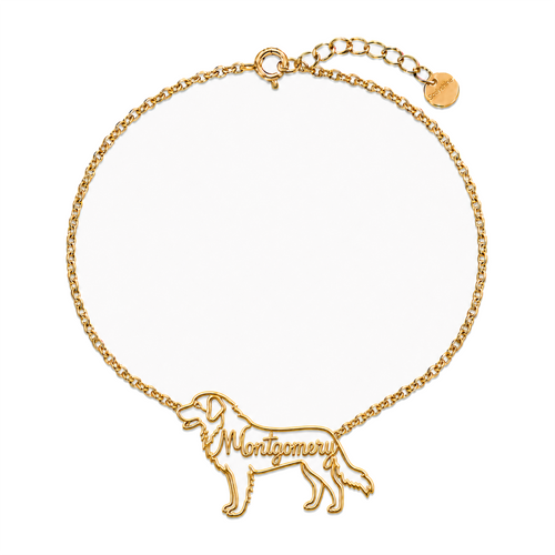 Leonberger_Montgomery_Gold.png