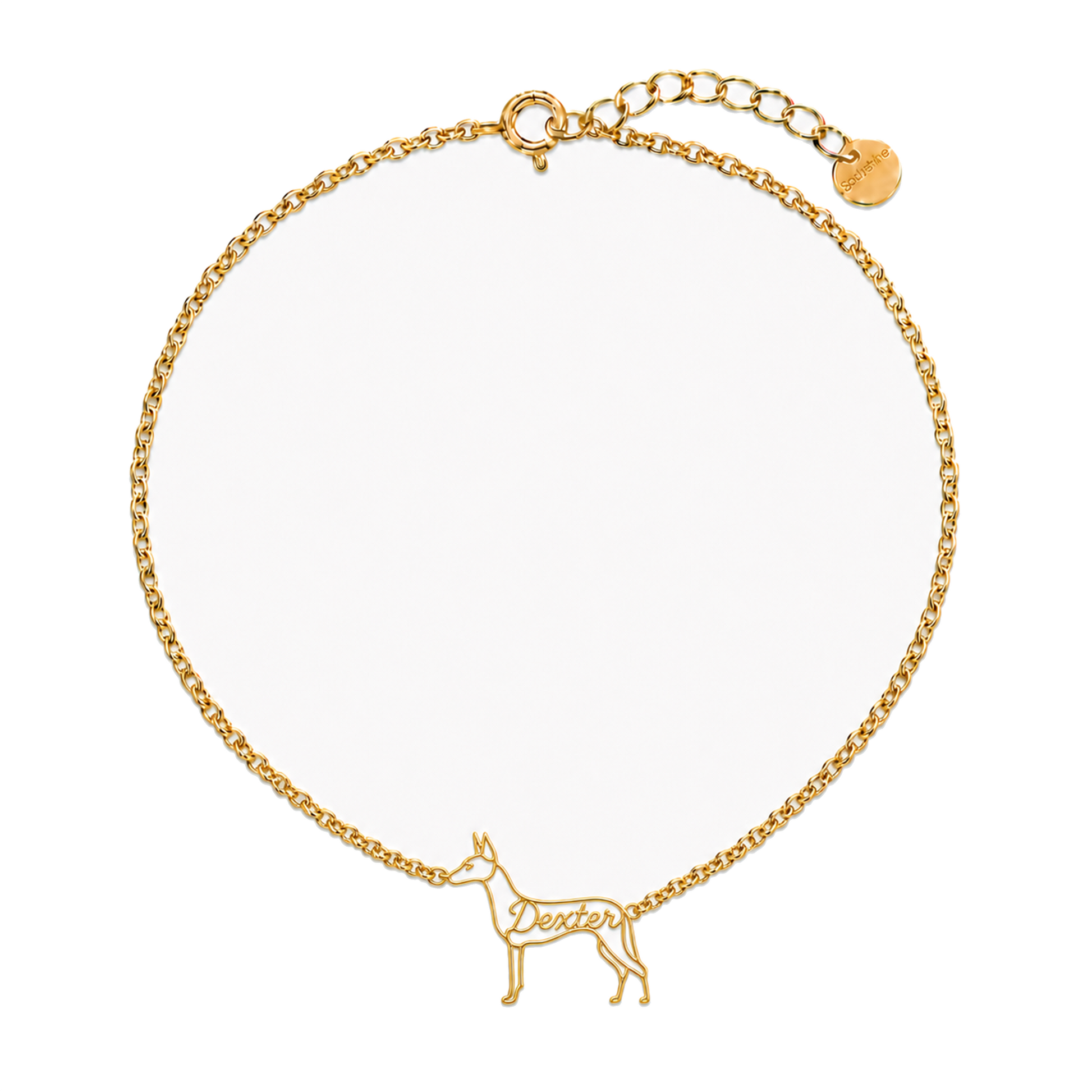 Manchester-Terrier_Dexter_Gold.png