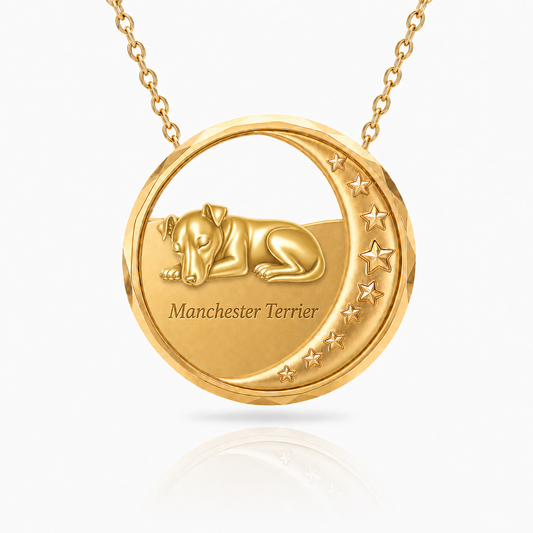 SoulyShine Manchester Terrier Starry Slumber – Personalized Pet in The Moon Necklace - 18K Gold Vermeil front
