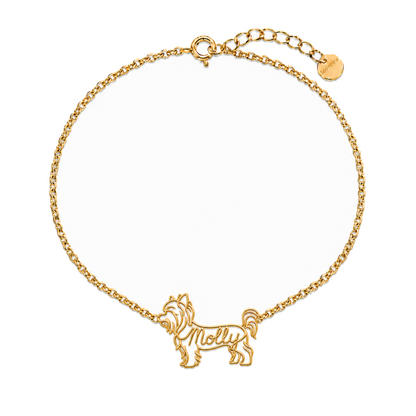 Morkie_Molly_Gold.png