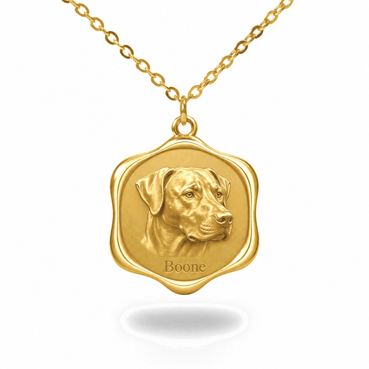 Soulyshine Mountain Cur Precious Paw personalized pet photo necklace - 18K Gold Vermeil front