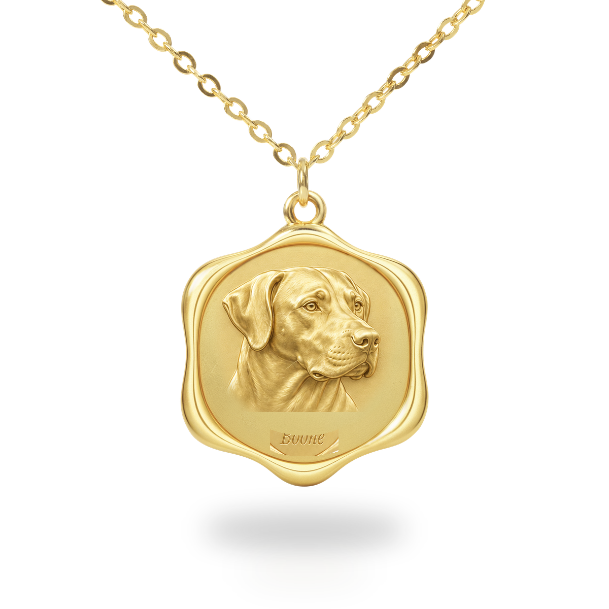 Soulyshine Mountain Cur Precious Paw personalized pet photo necklace - 18K Gold Vermeil front