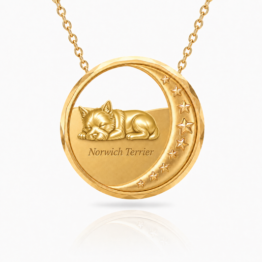 SoulyShine Norwich Terrier Starry Slumber – Personalized Pet in The Moon Necklace - 18K Gold Vermeil front