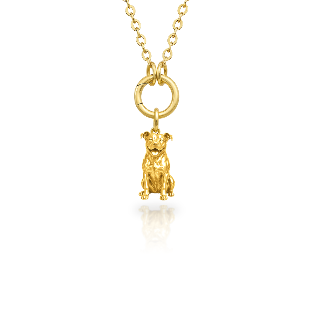 Pit-Bull - 18K Gold Vermeil - 1st