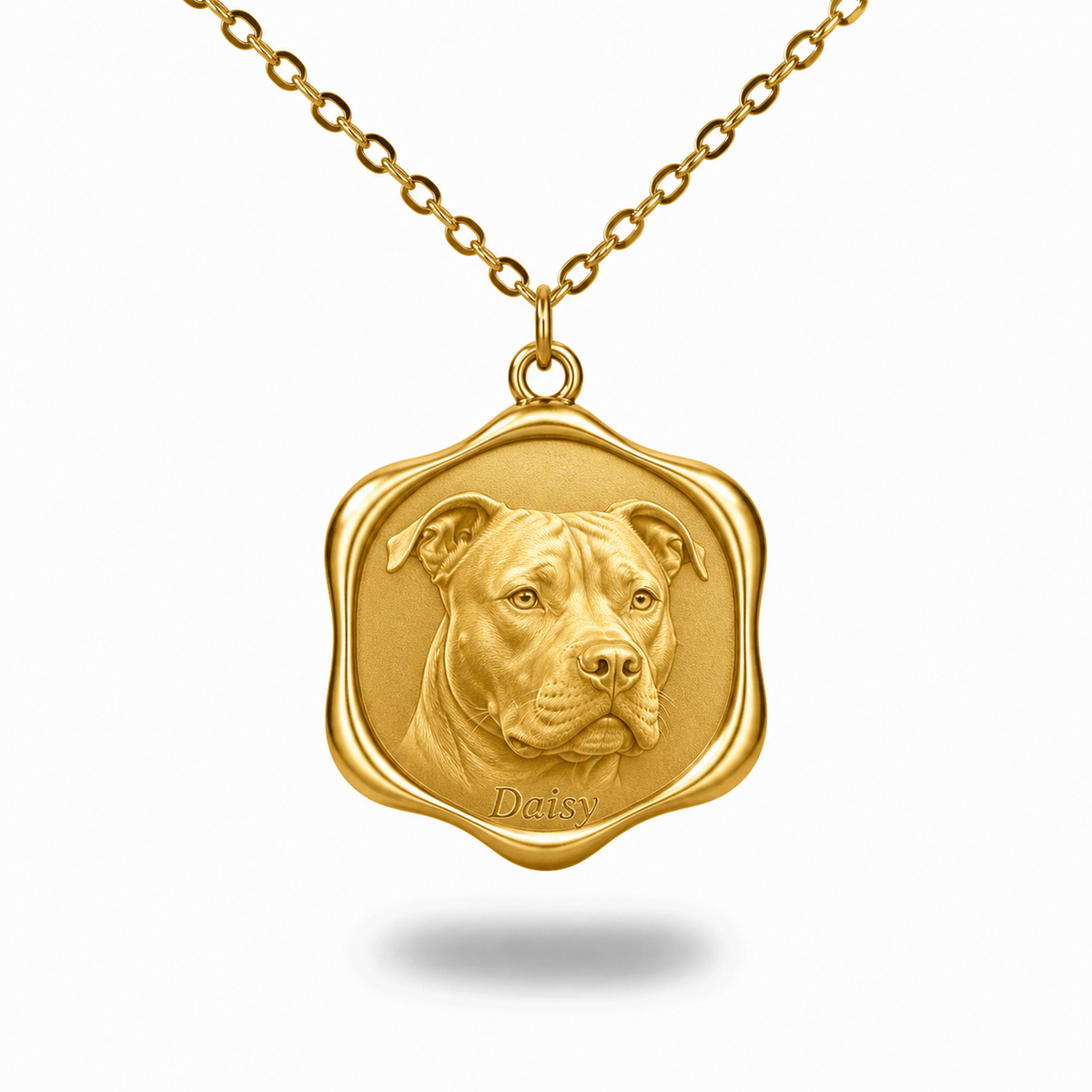 Soulyshine Pit Bull Precious Paw personalized pet photo necklace - 18K Gold Vermeil front