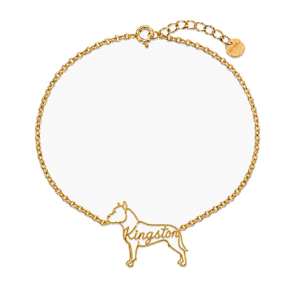 Pit-Bull_Kingston_Gold.png