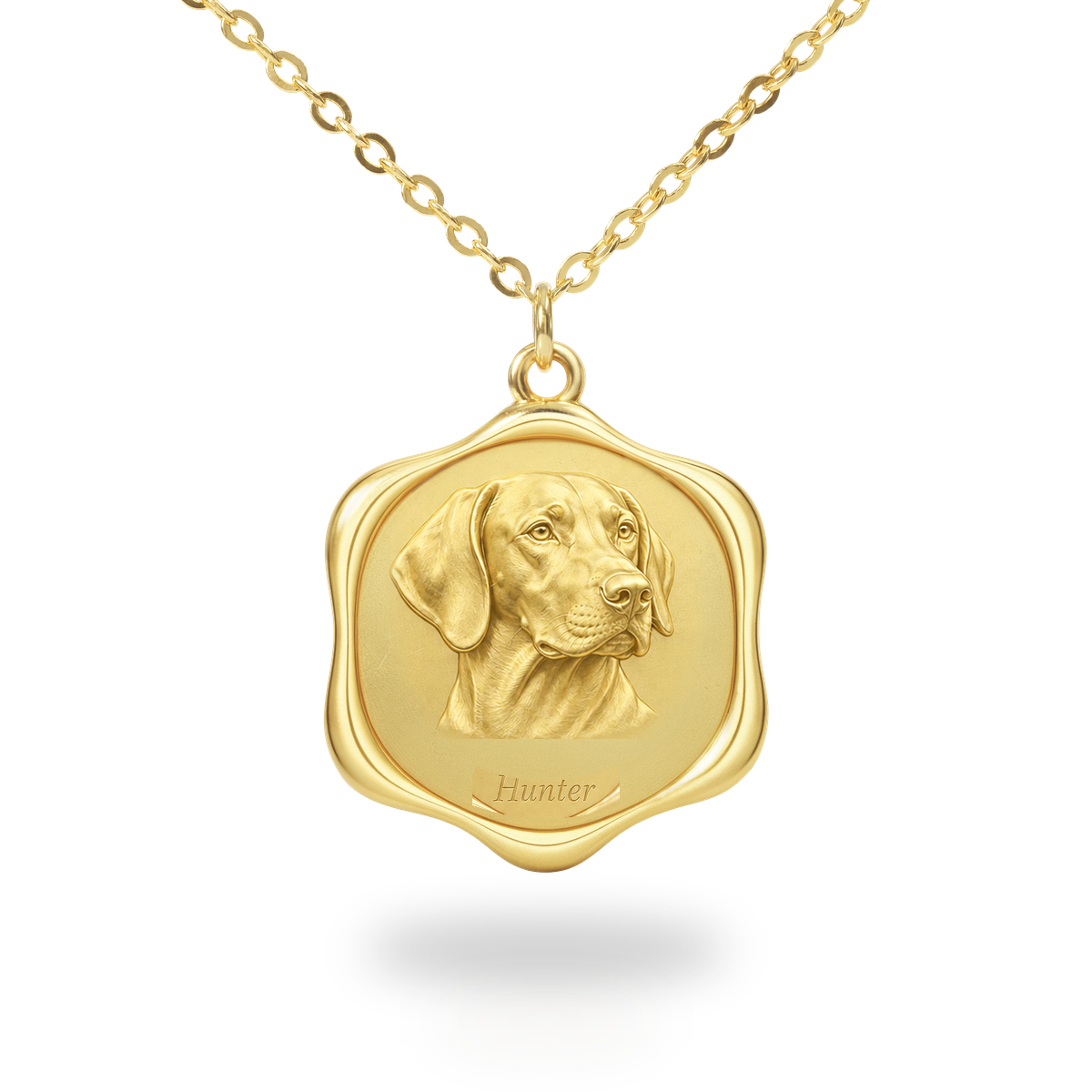 Soulyshine Plott Hound Precious Paw personalized pet photo necklace - 18K Gold Vermeil front