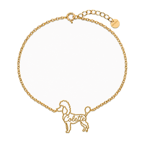 Poodle-miniature_Colette_Gold.png