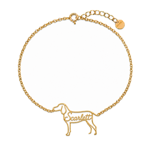 Redbone-Coonhound_Scarlett_Gold.png