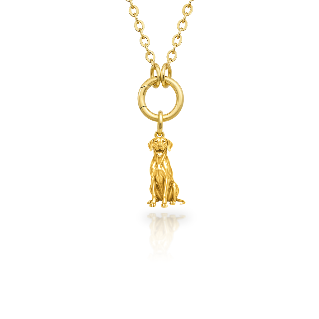 Rhodesian-Ridgeback - 18K Gold Vermeil - 1st