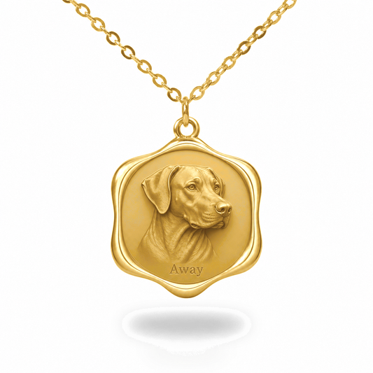 Soulyshine Rhodesian Ridgeback Precious Paw personalized pet photo necklace - 18K Gold Vermeil front