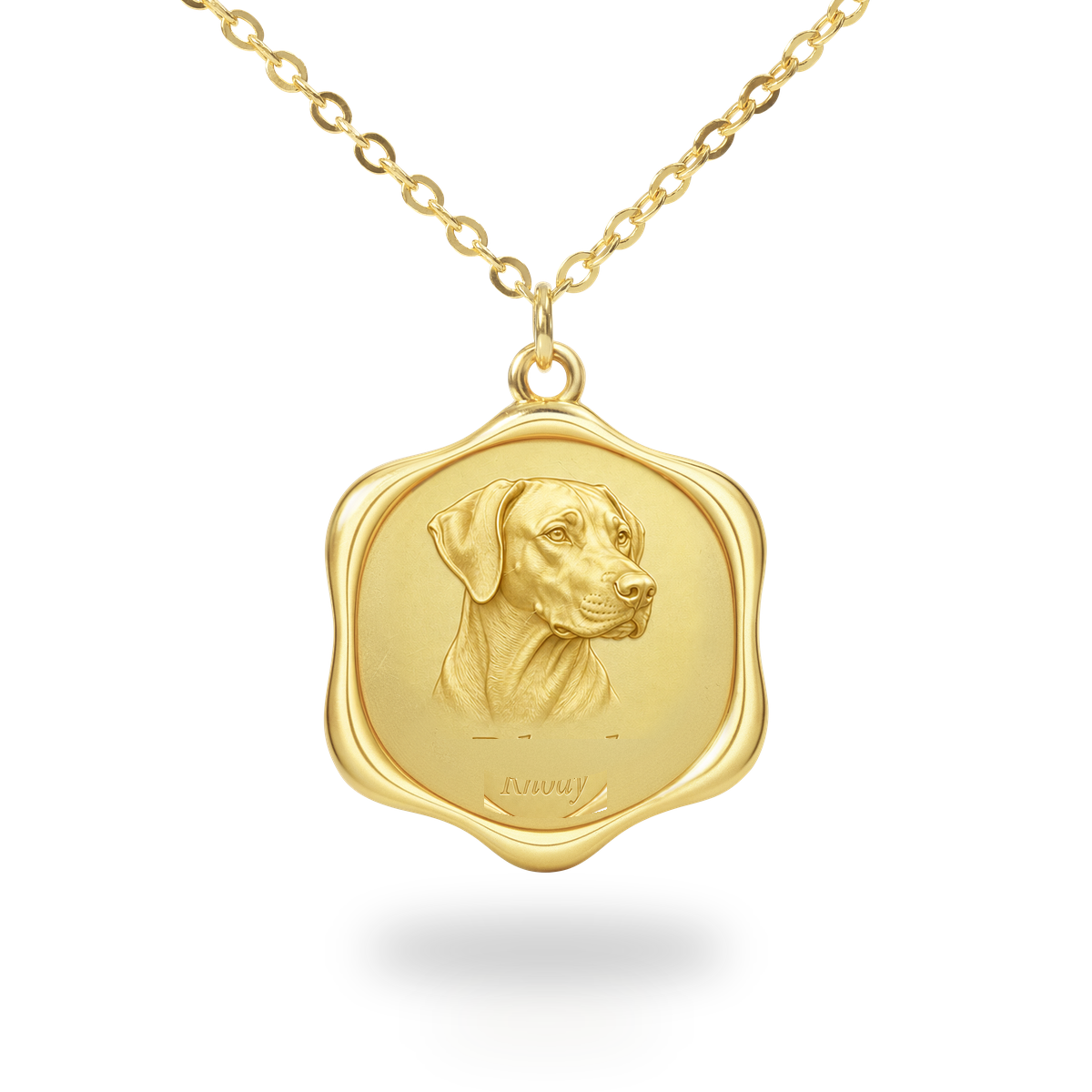 Soulyshine Rhodesian Ridgeback Precious Paw personalized pet photo necklace - 18K Gold Vermeil front