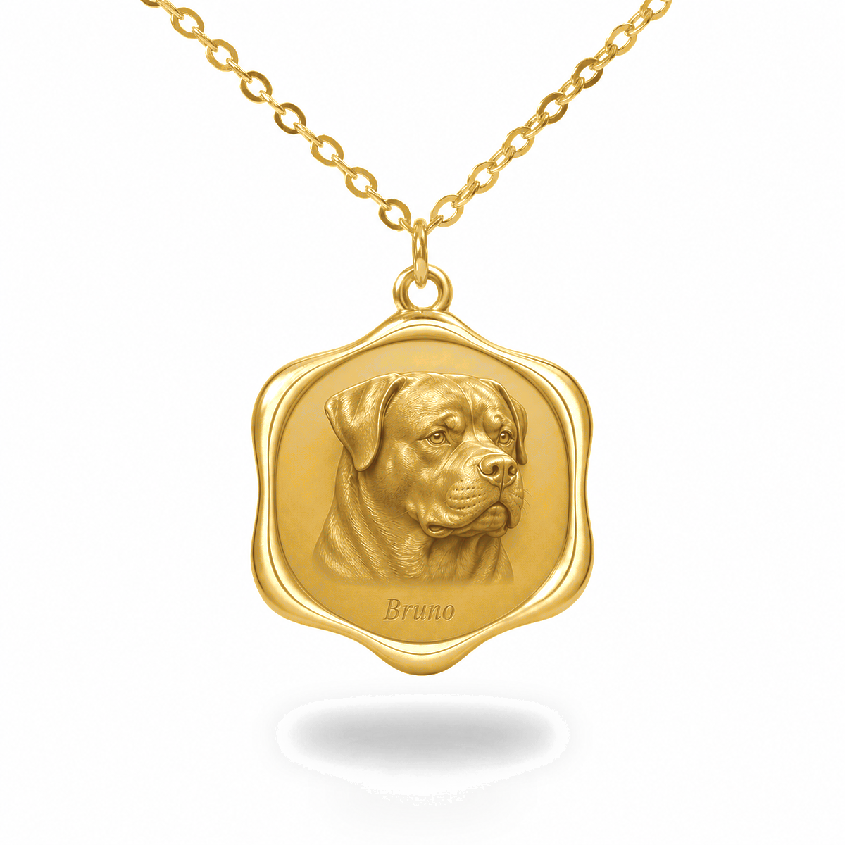 Soulyshine Rottweiler Precious Paw personalized pet photo necklace - 18K Gold Vermeil front