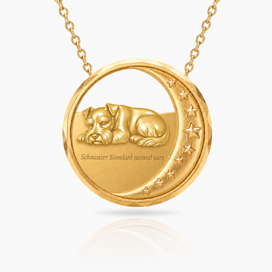 SoulyShine Schnauzer Standard natural ears Starry Slumber – Personalized Pet in The Moon Necklace - 18K Gold Vermeil front