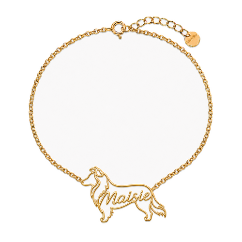 Shetland-Sheepdog_Maisie_Gold.png