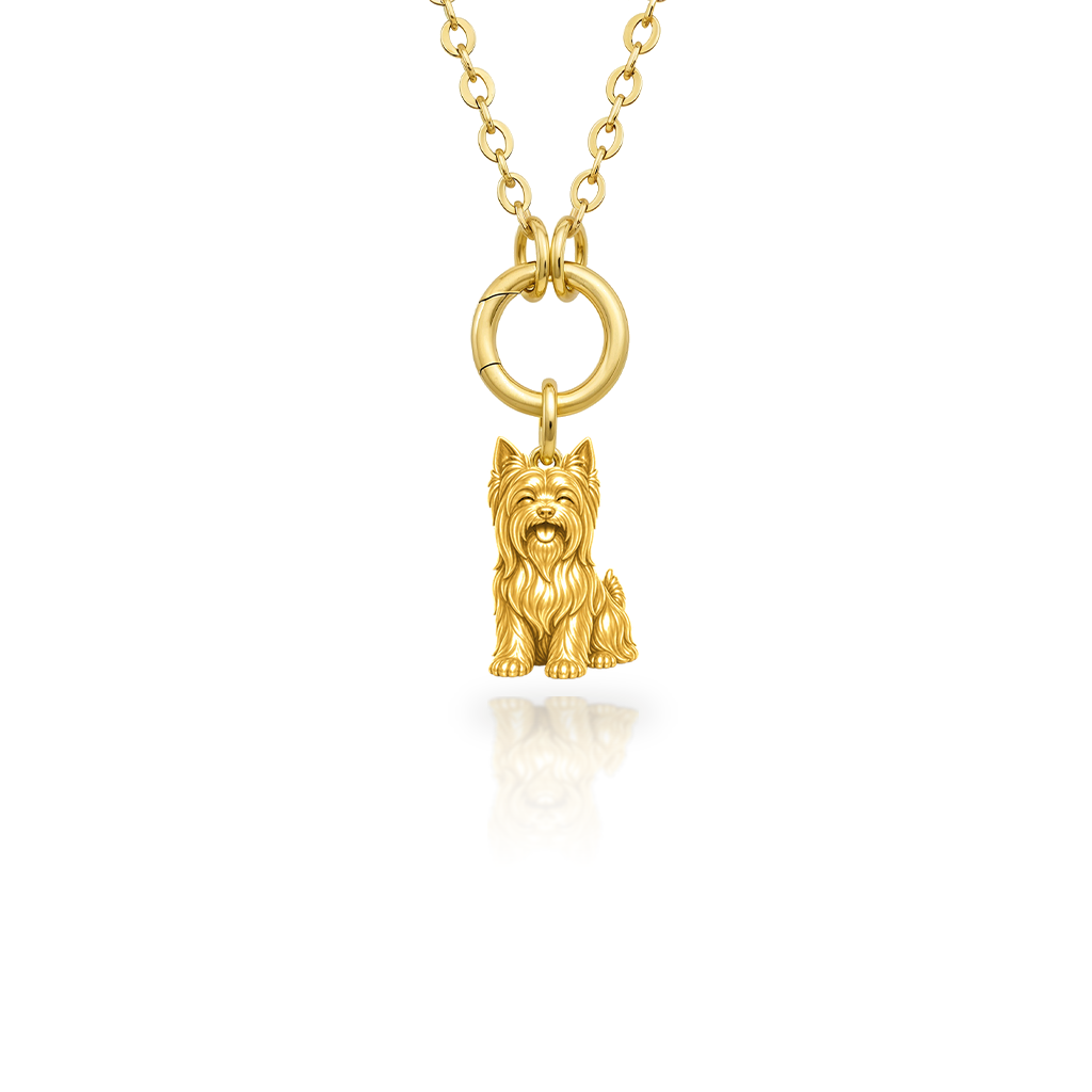 Silky-Terrier - 18K Gold Vermeil - 1st