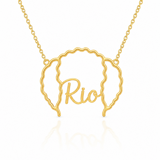 Soulyshine Spanish Water Dog personalized outline pet face and name necklace in gold