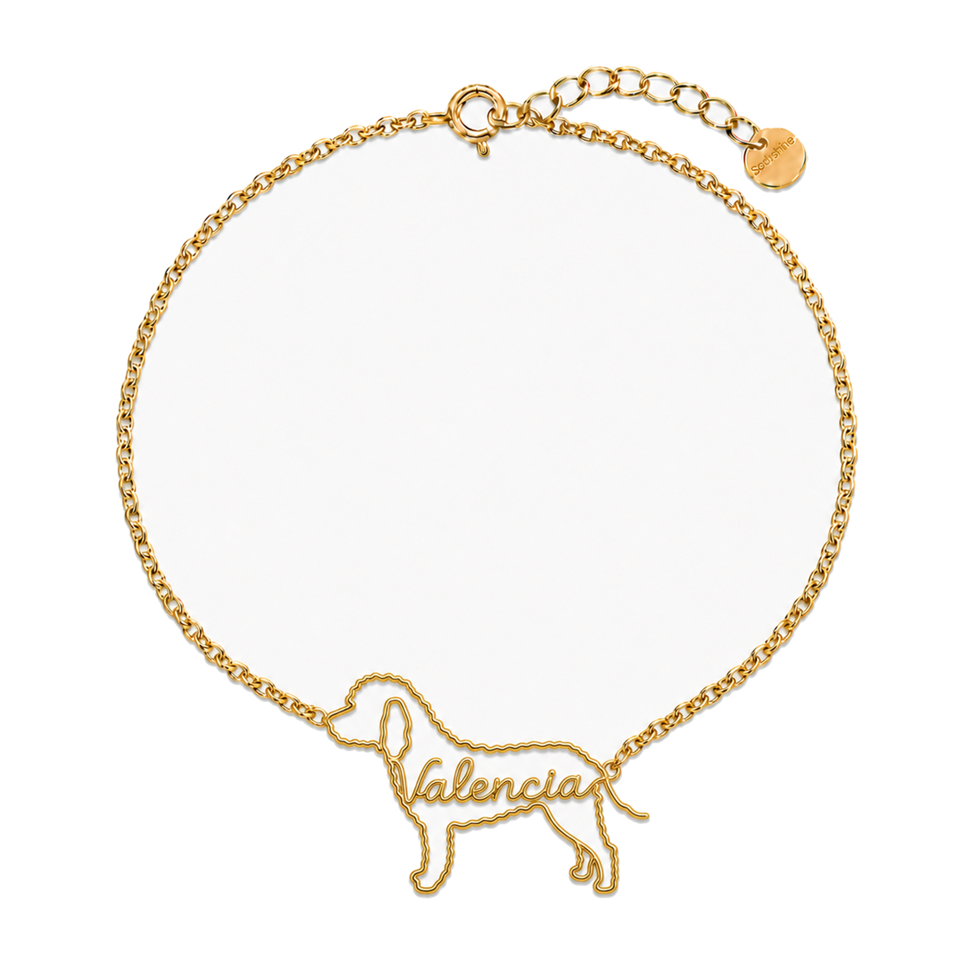 Spanish-Water-Dog_Valencia_Gold.png