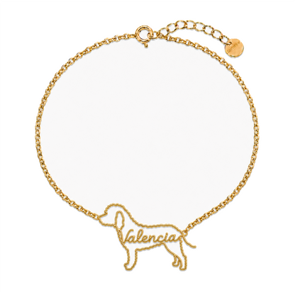 Spanish-Water-Dog_Valencia_Gold.png
