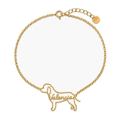 Spanish-Water-Dog_Valencia_Gold.png