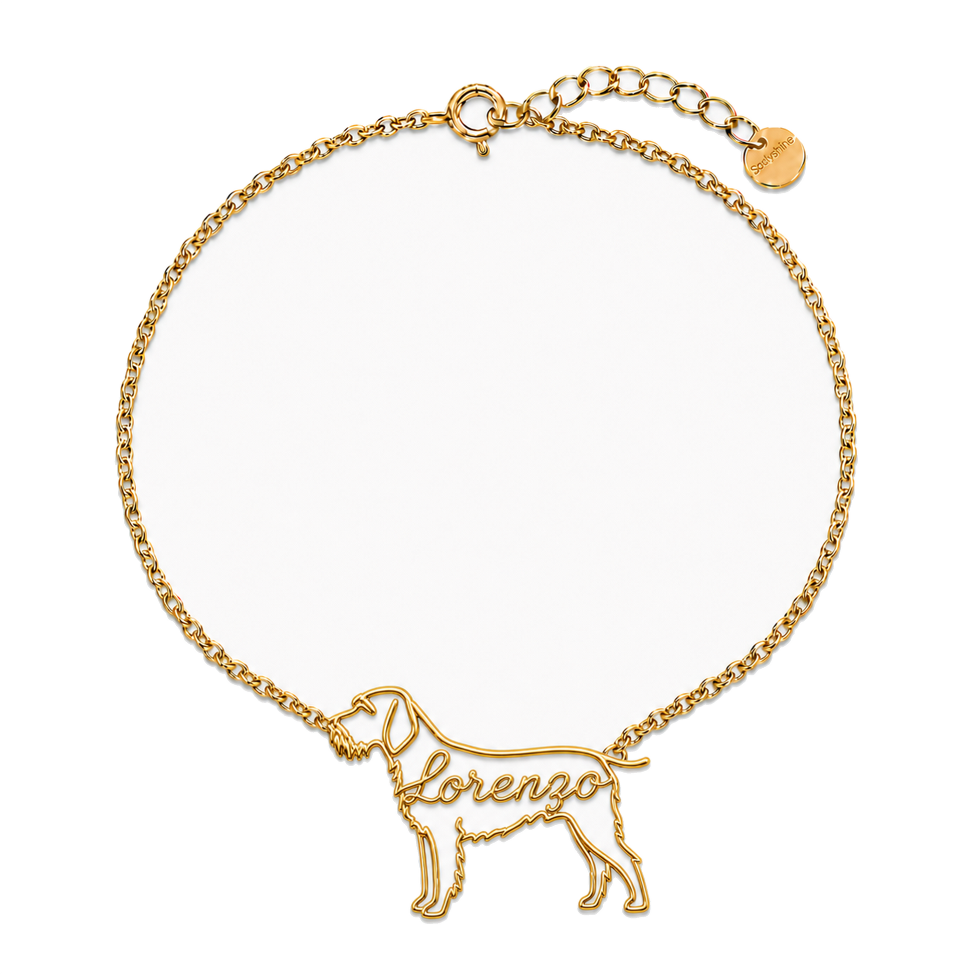 Spinone-Italiano_Lorenzo_Gold.png