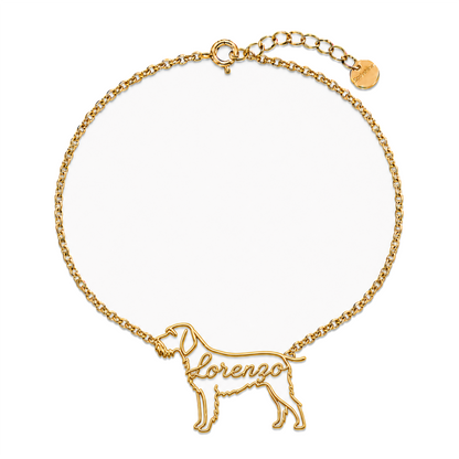 Spinone-Italiano_Lorenzo_Gold.png