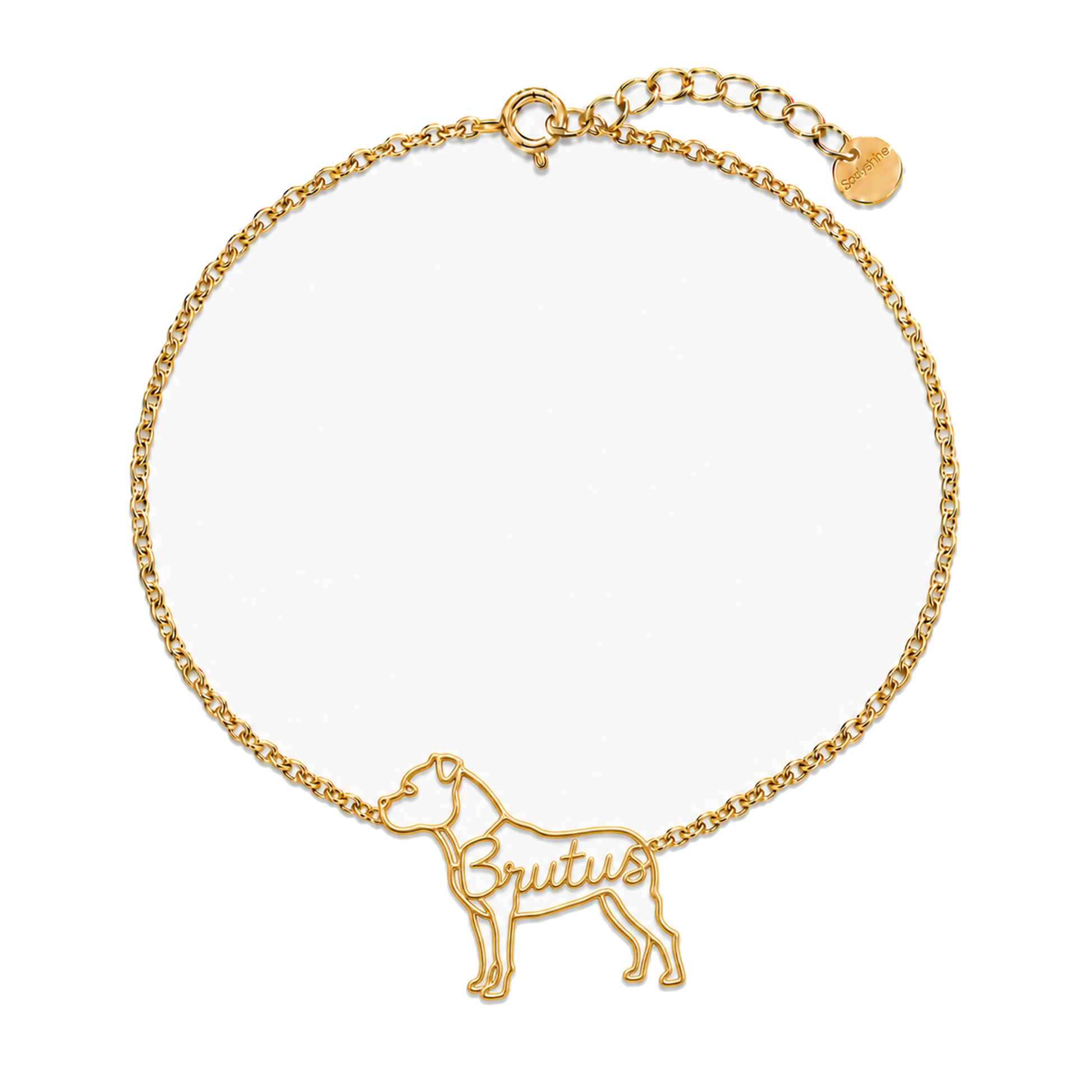Staffy_Brutus_Gold.png