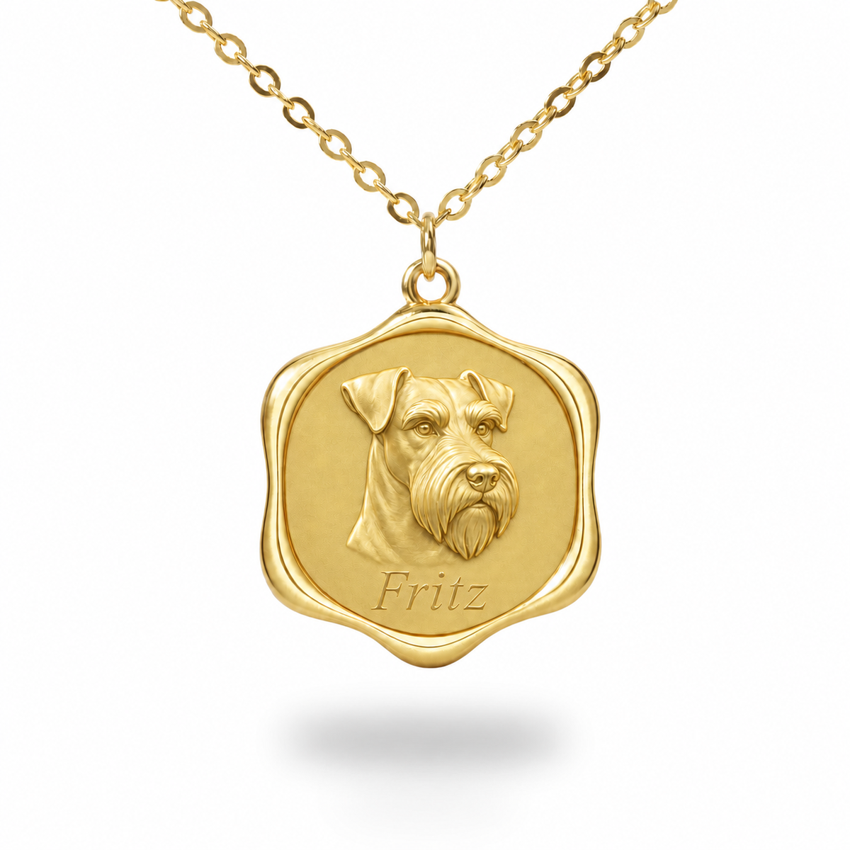 Soulyshine Standard Schnauzer Precious Paw personalized pet photo necklace - 18K Gold Vermeil front