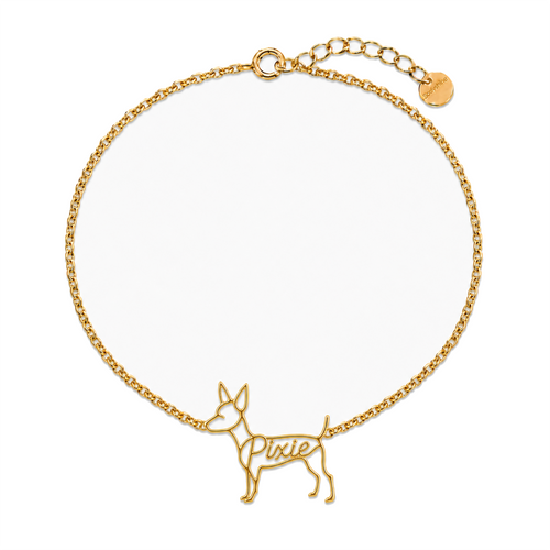 Toy-Fox-Terrier_Pixie_Gold.png