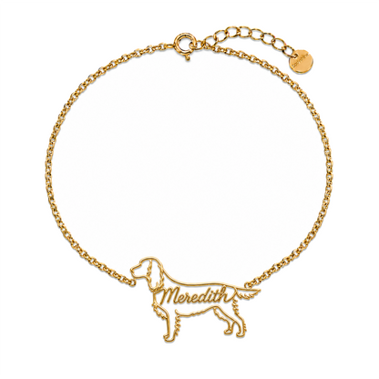 Welsh-Springer-Spaniel_Meredith_Gold.png
