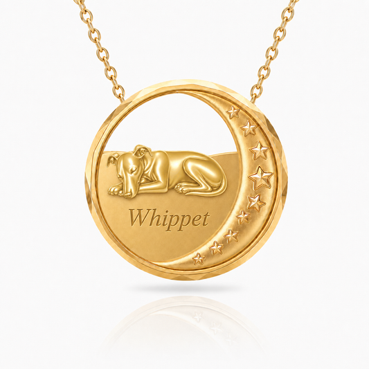 SoulyShine Whippet Starry Slumber – Personalized Pet in The Moon Necklace - 18K Gold Vermeil front