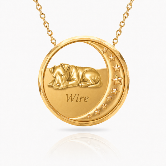 SoulyShine Wire Starry Slumber – Personalized Pet in The Moon Necklace - 18K Gold Vermeil front