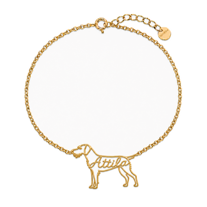 Wirehaired-Vizsla_Attila_Gold.png