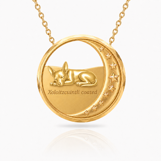 SoulyShine Xoloitzcuintli coated Starry Slumber – Personalized Pet in The Moon Necklace - 18K Gold Vermeil front