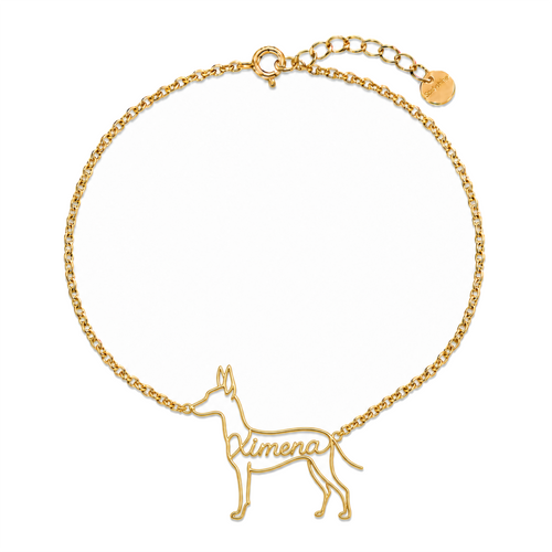 Xoloitzcuintli-coated_Ximena_Gold.png