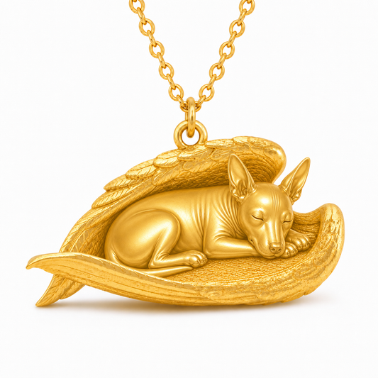 Soulyshine Xoloitzcuintli hairless The Sleeping Angel – Personalized Pet Necklace - 18K Gold Vermeil front