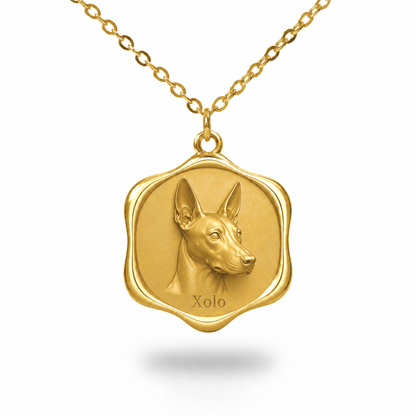 Soulyshine Xoloitzcuintli - hairless Precious Paw personalized pet photo necklace - 18K Gold Vermeil front