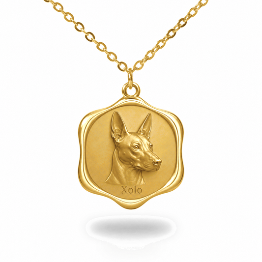 Soulyshine Xoloitzcuintli Precious Paw personalized pet photo necklace - 18K Gold Vermeil front