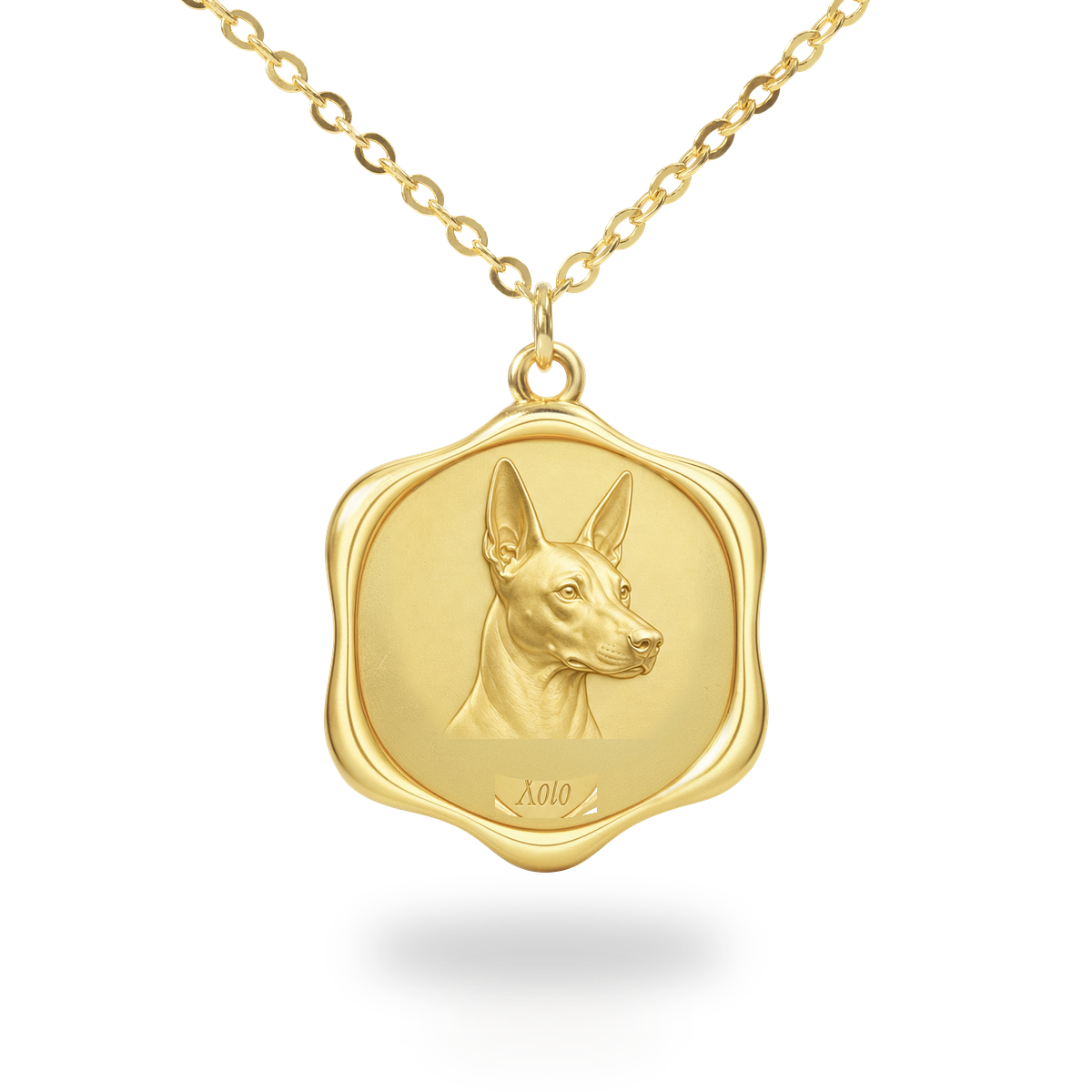 Soulyshine Xoloitzcuintli Precious Paw personalized pet photo necklace - 18K Gold Vermeil front